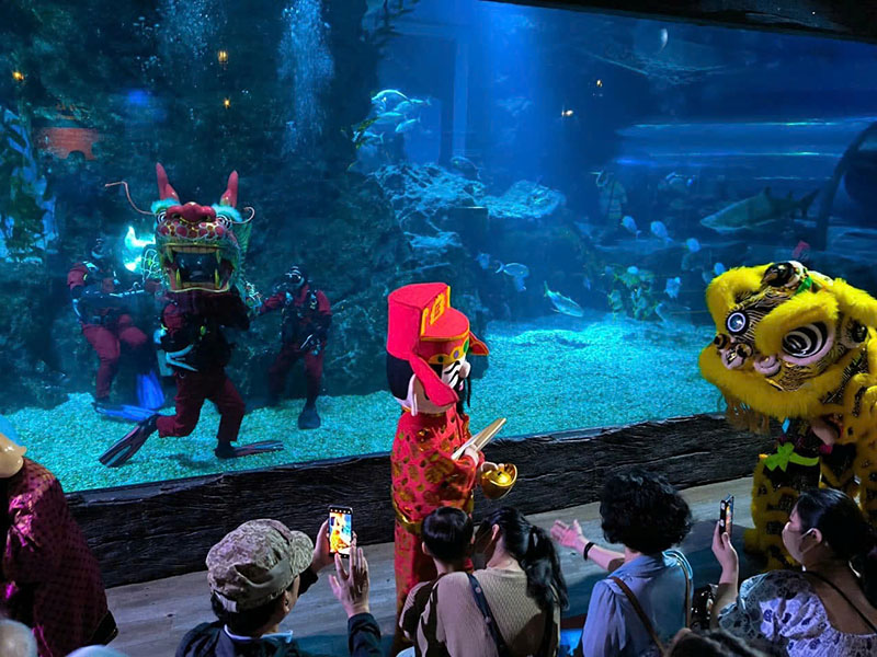 SEA LIFE Bangkok Ocean World 1