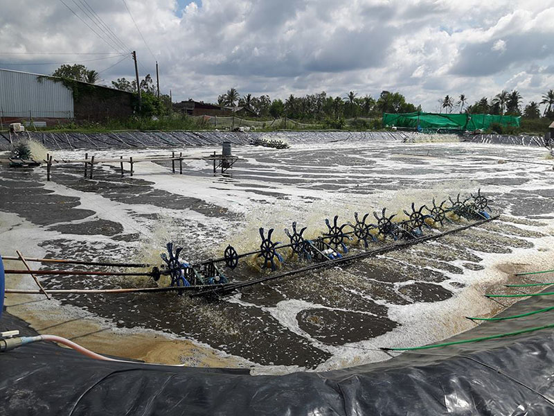 Thiết kế hố siphon ao tôm