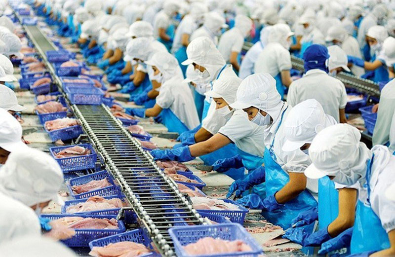 Tiêu Chuẩn Xanh – Xu Thế Tất Yếu Trong Ngành Thủy Sản