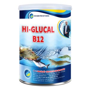 Hi-Glucal B12 - Tạo Hồng Cầu, Phòng Trắng Gan, Trắng Mang