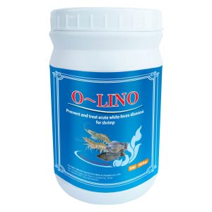Olino - Phòng Bệnh Phân Trắng Trên Tôm Cá