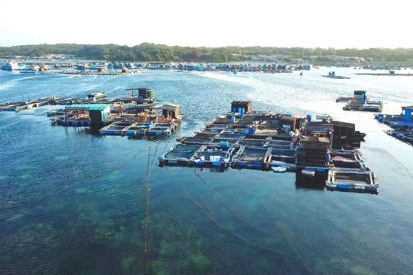 biến đổi khí hậu