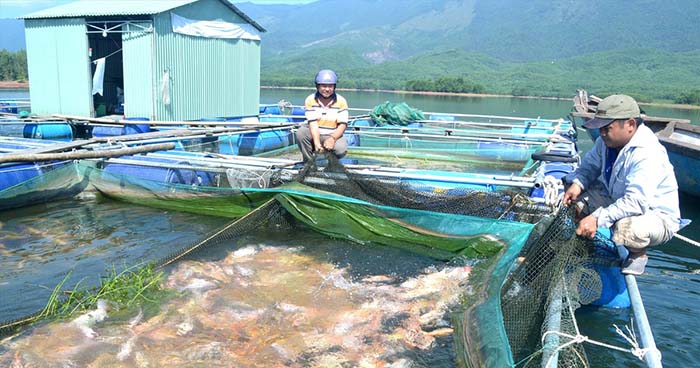hậu quả biến đổi khí hậu