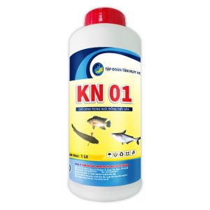 KN 01 - Trị Gan Thận Mủ, Tăng Cường Giải Độc Trên Cá