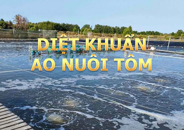 Diệt Khuẩn Bừa Bãi Ao Tôm