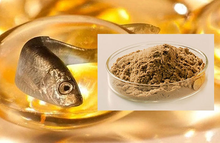 Đạm cải dầu thay thế bột cá