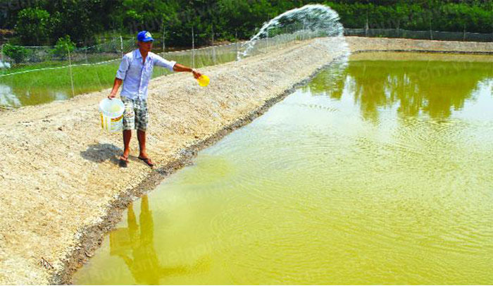 Thuốc sinh học diệt ký sinh trùng EHP