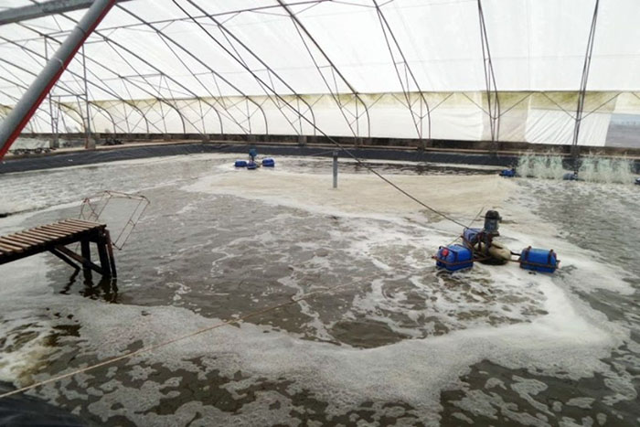 Công nghệ nano xử lý ao tôm