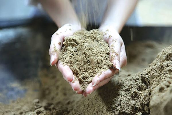 Protein Vi Khuẩn Methanotroph