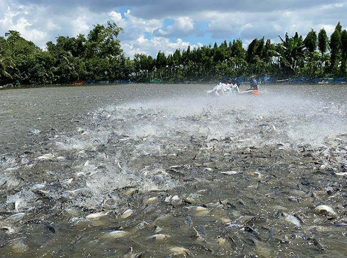 Ứng dụng Protein Vi Khuẩn Methanotroph