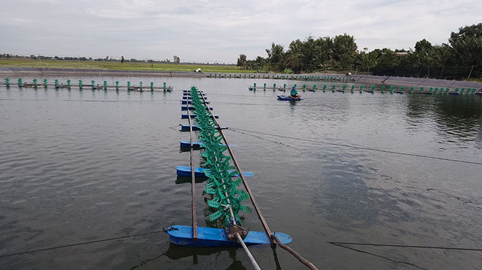 Chuẩn bị Hộ chiếu carbon cho ao tôm