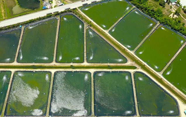 Kinh Tế Tuần Hoàn Xanh