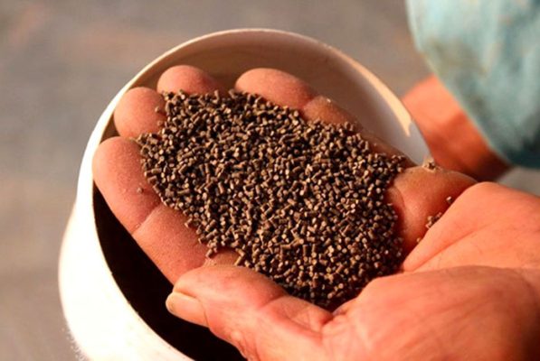 Nâng cao hiệu quả sử dụng thức ăn nuôi tôm