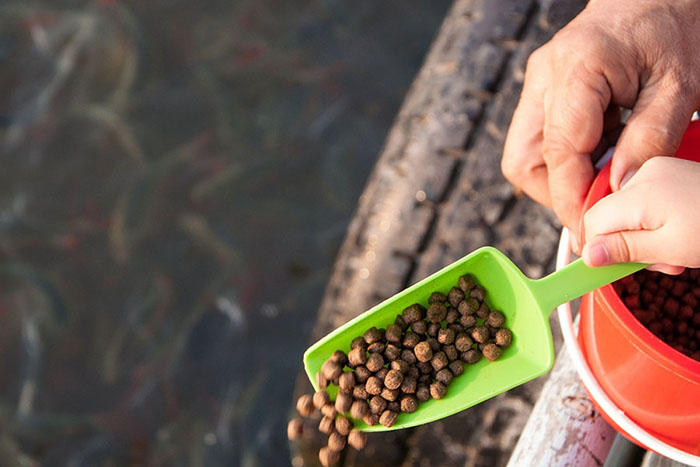 Lợi ích khi dùng Phụ Gia Nucleotides cho tôm