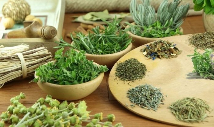 Phụ Gia Thảo Dược AI Cho Thủy Sản