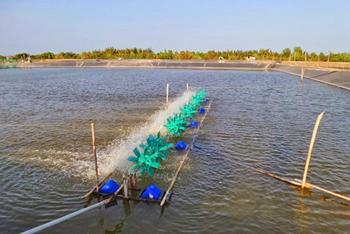 tăng kiềm ao tôm