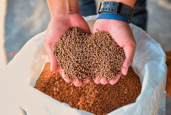 Cách chia cữ ăn tôm để FCR luôn thấp