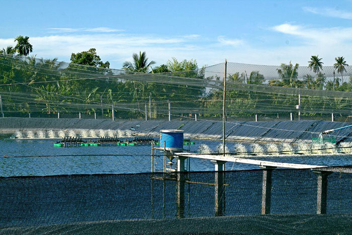 Chứng chỉ quốc tế