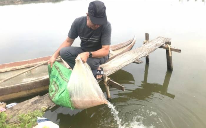 Thả tôm trái vụ