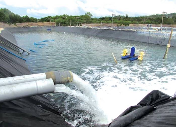 Thay nước ao tôm trong mùa lạnh