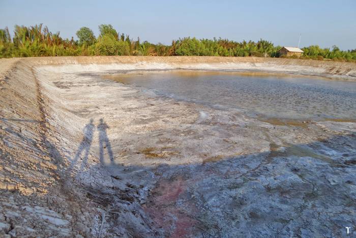 Nuôi tôm ao đất