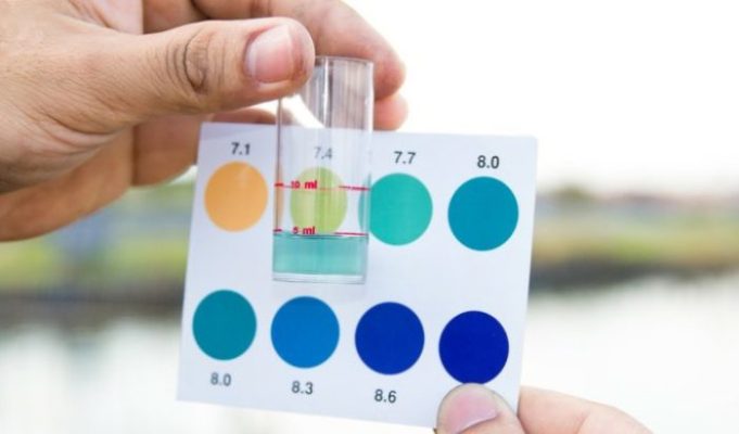 pH ao tôm dao động mạnh