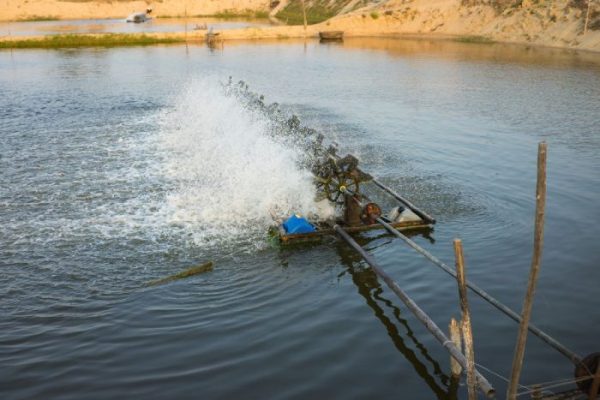 Độ trong nước ao tôm