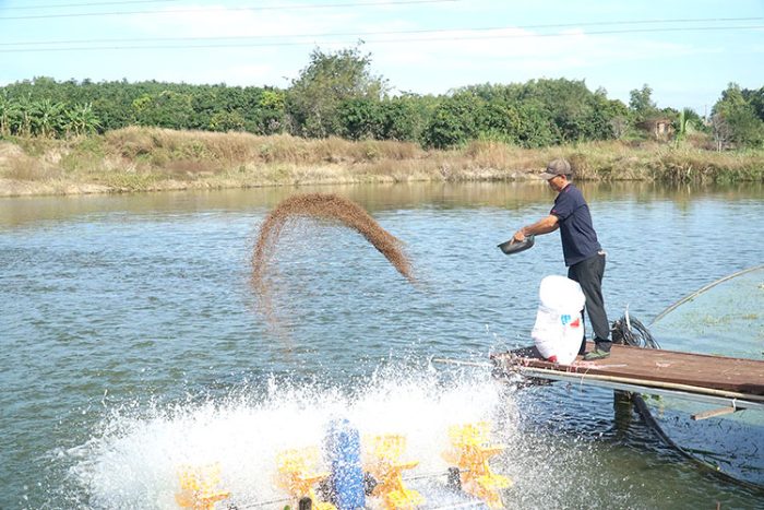 Hệ số FCR trong nuôi cá