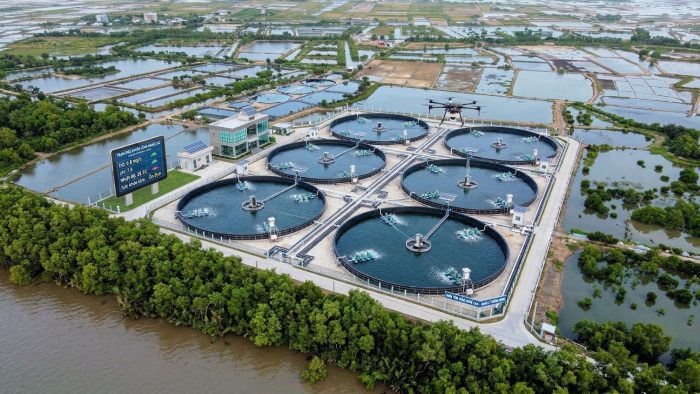 Nguồn cung tôm và triển vọng thả nuôi