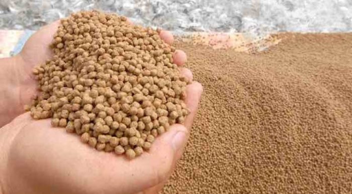 So sánh thức ăn nổi và thức ăn chìm